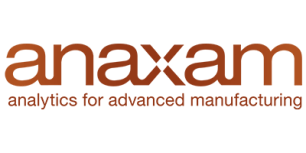 Anaxam Logo - Lemberg Solutions