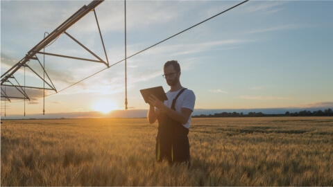 Software entwicklungsdienste für Agritech- Lemberg Solutions - Meta Image