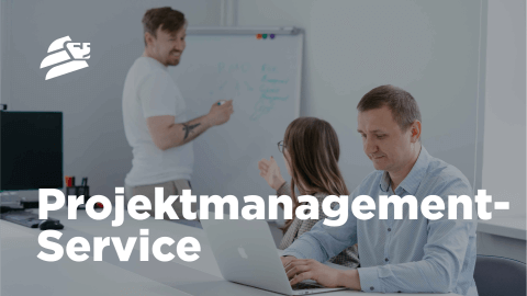 IT-Projektmanagement-Service - Lemberg Solutions - Meta Image