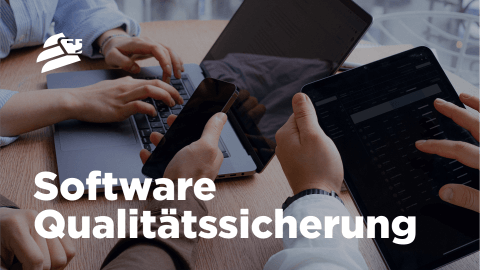 Software Qualitätssicherung - Lemberg Solutions - Meta Image.png